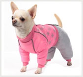 Как связать носки для собаки - YouTube | Одежда для собак, Вязание, Одежда для маленьких собак
